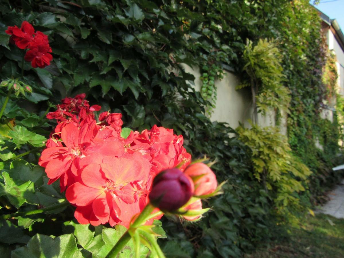 Donnenheim Maison D'Hotes La Ferme Pierre*** מראה חיצוני תמונה